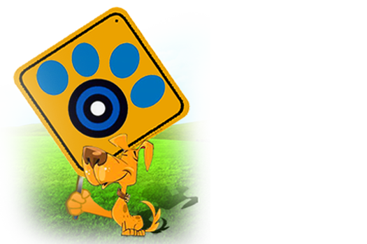 dot2