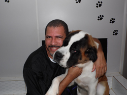 Banho e Tosa 