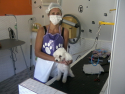 Banho e Tosa 