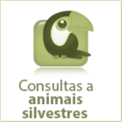icon-animais-silvestres