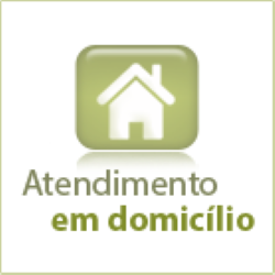 icon-atendimento-a-domicilio