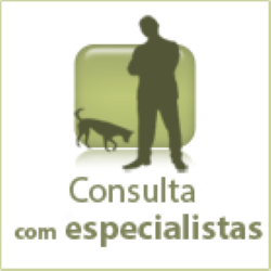 icon-cons-especialista