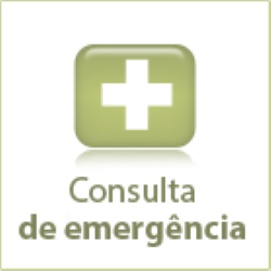 icon-consulta-emergencia
