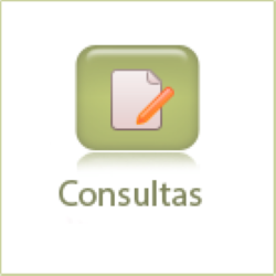 icon-consultas