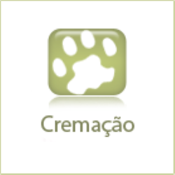 icon-cremacao