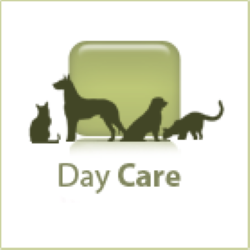 icon-day-care