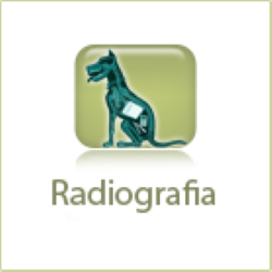 icon-radiografia