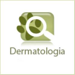 icon_dermatologia